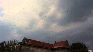 Swiftlet sound : 4 acres full with birds King of kings sound combination