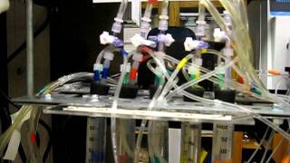 Fluidized bed reactor - slag project