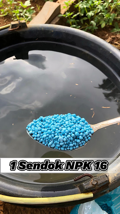Takaran kasar dosis NPK 16 #shorts