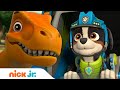 PAW Patrol Dino Rescue 🦖 Mini Episode! | Nick Jr.