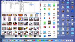 Using Phoenix Slides for Reading Practice & Group Taiḷḷaviuŋ screenshot 3