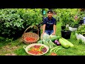 Are You Harvesting Chilli | Time To Harvest Bangladeshi vegetable (Part 3)