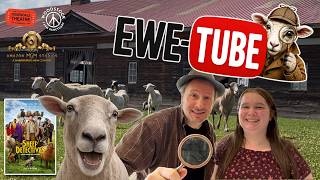 The Sheep Detectives Farm Adventure!  🐑  Amazon MGM Screening + Sanctuary Visit!