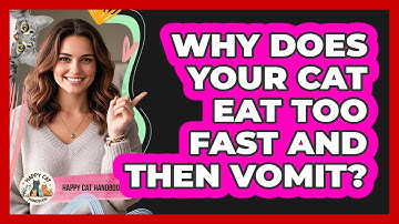 Why Does Your Cat Eat Too Fast And Then Vomit? - Happy Cat Handbook