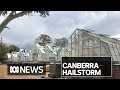 Years of CSIRO research 'totally lost' in Canberra hailstorm | ABC News