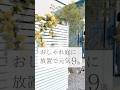 【ズボラでもおしゃれなお庭に🪴】  #家づくり #外構 #ガーデニング