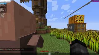 Vanilla Anticheat - Invwalk Villager Zntxcode