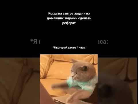 #рилс #рилсы #жиза #мем #жиза #врек #вреки #врекпж #врекомендации #взаимнаяподписка #реферат