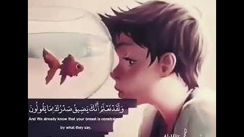 حالات واتس ايات قرانية  تريح القلب القارئ هلويست نصر الدين