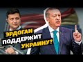 «Эрдоган обещал нам твердую поддержку» – Джемилев о Турции и крымской платформе