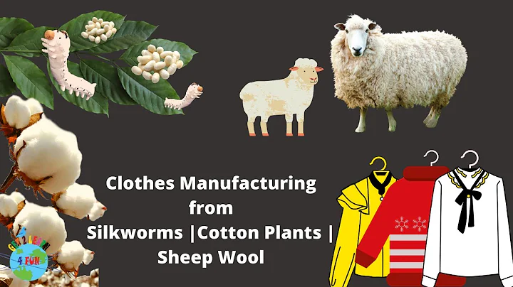 what-are-clothes-made-of-2025