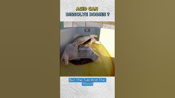 Can Acid Really Dissolve a Human Body? ⚗️🦴 #mythbusted