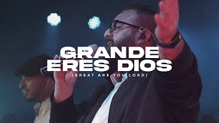 Video thumbnail of "Grande eres Dios"