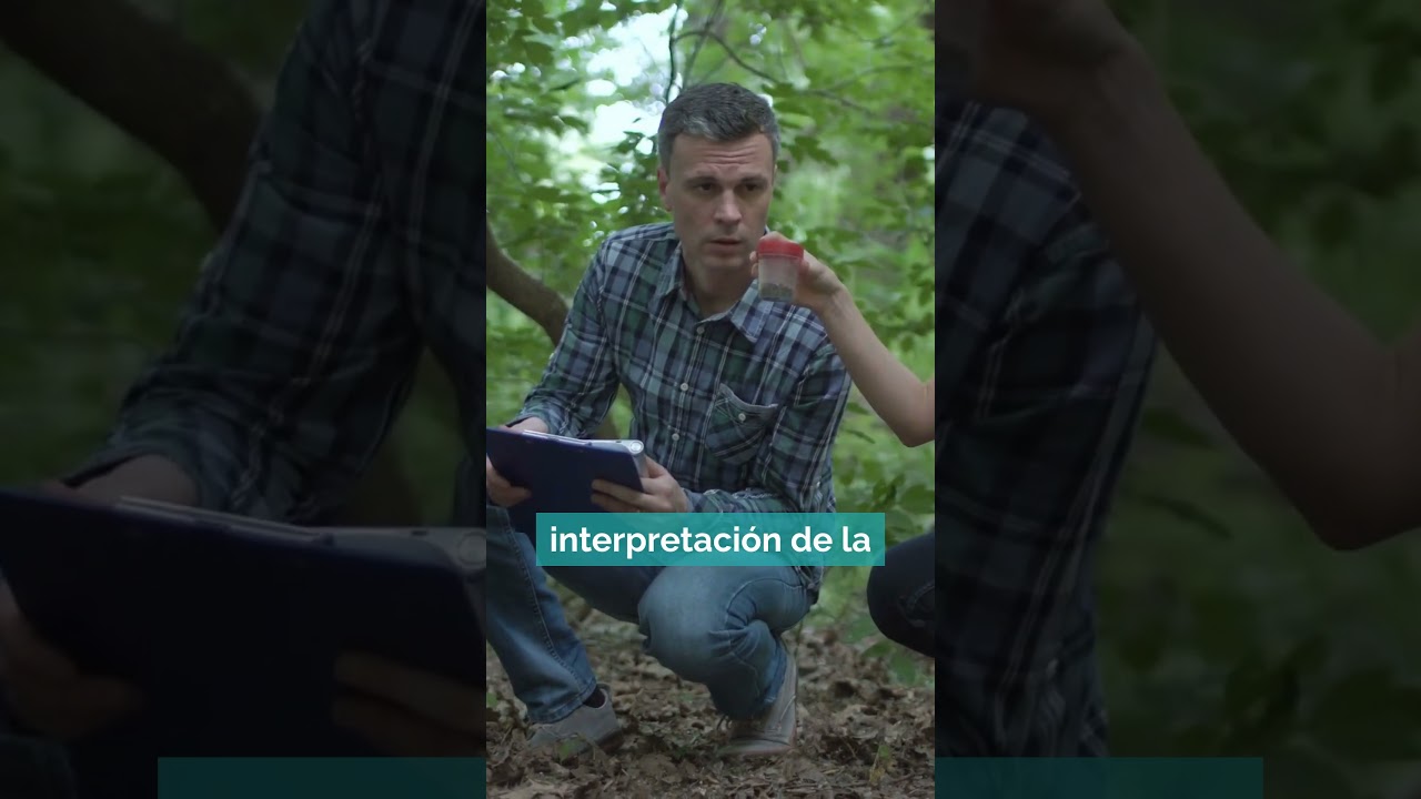 SALIDAS Profesionales EDUCACIÓN y CONTROL AMBIENTAL #formacionprofesional #fp