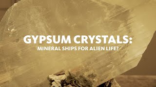 Stories | Gypsum Crystals: Mineral Ships for Alien Life? #Gypsum #ScienceFriday #NHMLA #Minerals