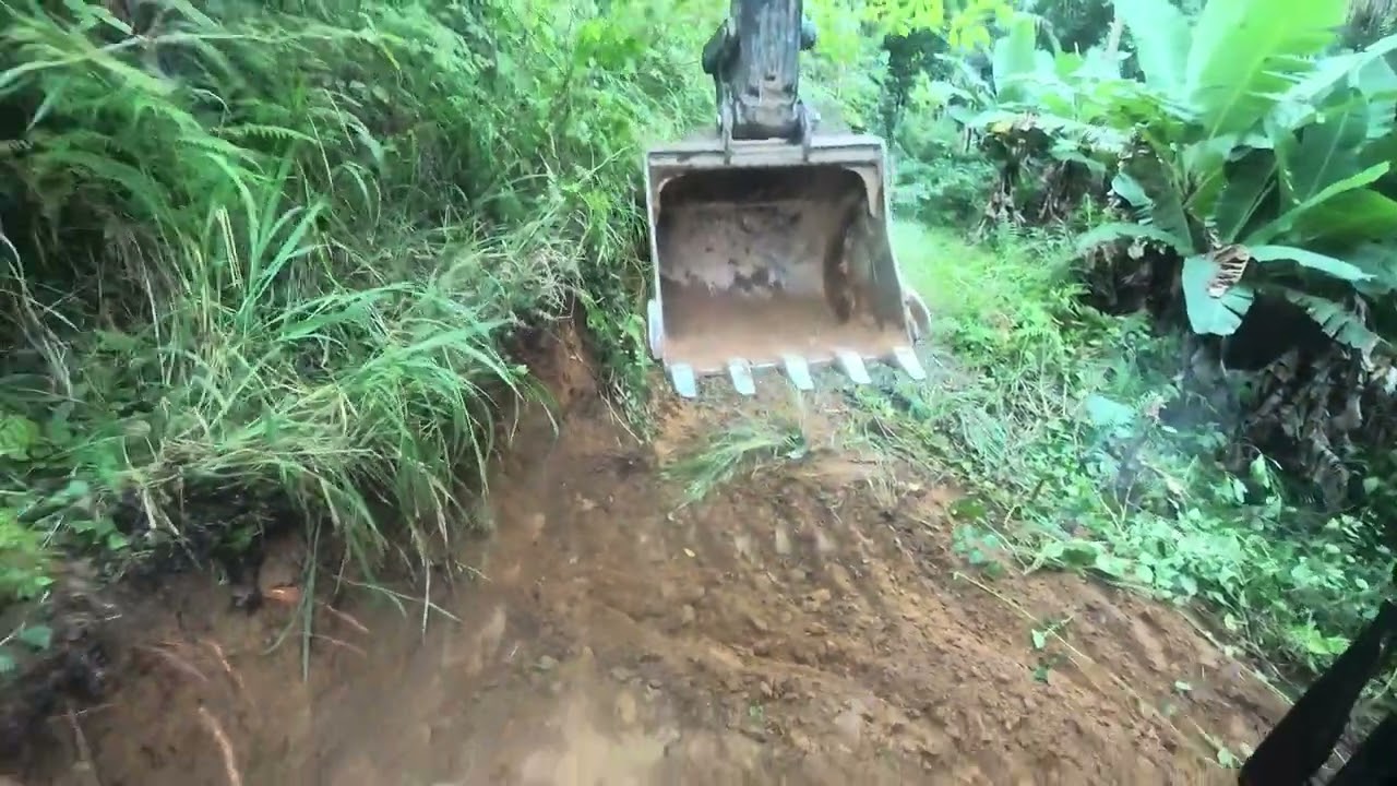 escavadeira fazendo estrada e limpeza