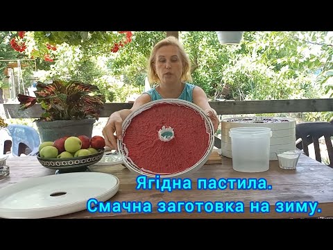 Ягідна ПАСТИЛА🍒🫐🍓Смачна і