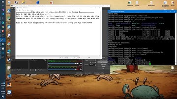 Cài đặt DNS trên Centos 8