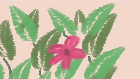 Tab S6 lite: Every day is a new beginning : Autodesk Sketchbook