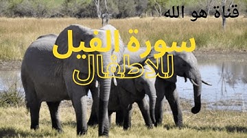 سورة الفيل للاطفال مكرره للحفظ والتعليم .بصوت جميل .تلاوة رائعه تريح النفس وتشرح الصدر.