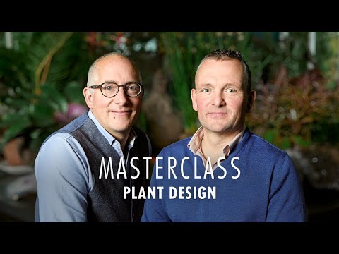 ვიდეო: ინტერიერის დიზაინი მცენარეებით: შეიტყვეთ შიდა ბაღის დიზაინის შესახებ
