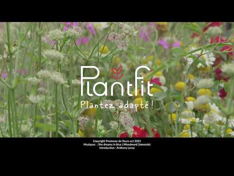 Plantfit, la nouvelle application personnalisée et anti-gaspillage de Promesse de fleurs  !