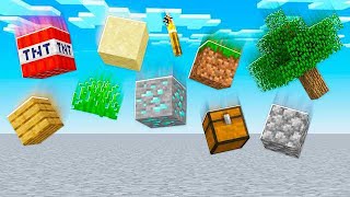 WHAT IF ALL BLOCKS FELL FROM THE SKY?