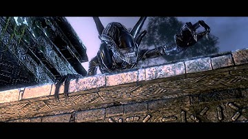 AVP 2010 - More Gameplay... ish