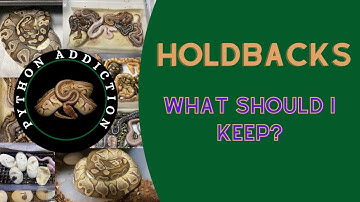 2023 Holdback Choices - Growing your Ball Python Collection!