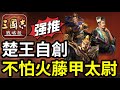 含字幕【變種太尉】分享！不用援甲或曹操！不怕火的藤甲【賈太尉】｜惡丨楚王【自創】｜#三國志戰略版