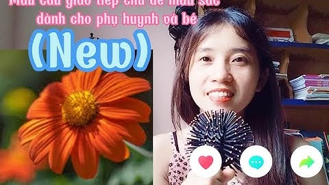 (New) Mẫu câu giao tiếp chủ đề màu sắc dành cho phụ huynh và bé| Lớp tiếng Anh 0 đồng cùng Shi