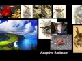 Speciation and Extinction: Unraveling the Evolutionary Journey