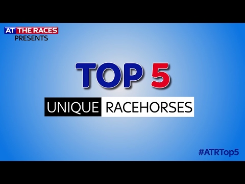 Top 5 Unique Looking Racehorses