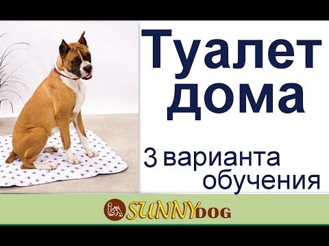 Уберите мобильный подальше от кровати. гаджет, находящийся на расстоянии руки, может вызвать проблемы