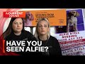 Where is Alfie the cavoodle? | A Current Affair