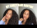 My Curly Hair Routine || Naomy Luna