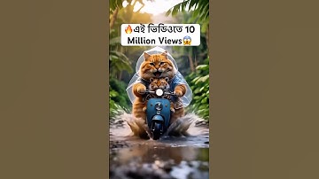 How to Create Animated Videos With Ai #animals #funny #funnycatvideo #ai #animation #ai #cat #pets