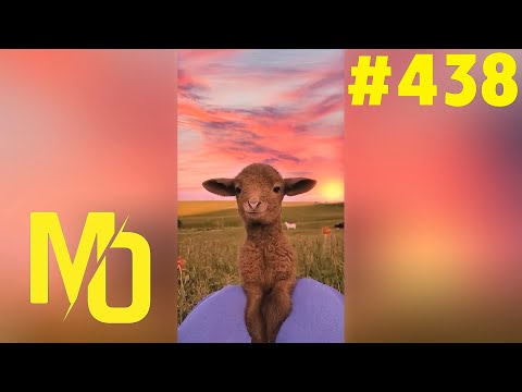 KAFESDOMALTAN_31 | Madara Olduk #438