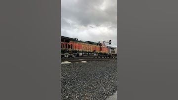 Many BNSF Railway Locomotives, Including a Warbonnet, and One Norfolk Southern Idle at South Seattle