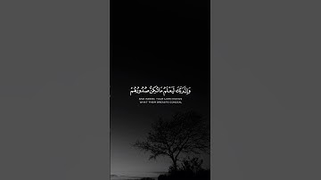 وإن ربك ليعلم ما تكن صدورهم وما يعلنون - القارئ : احمد النفيس ؛ سورة النمل #tiktok #quran_h2o