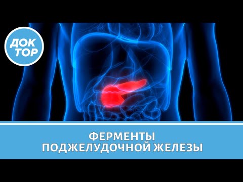 Ферменты поджелудочной железы