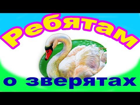 Ребятам о зверятах. В небе. Обучалки.