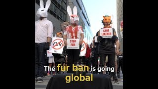 🦊 Taking The Fur Ban Global 🦊