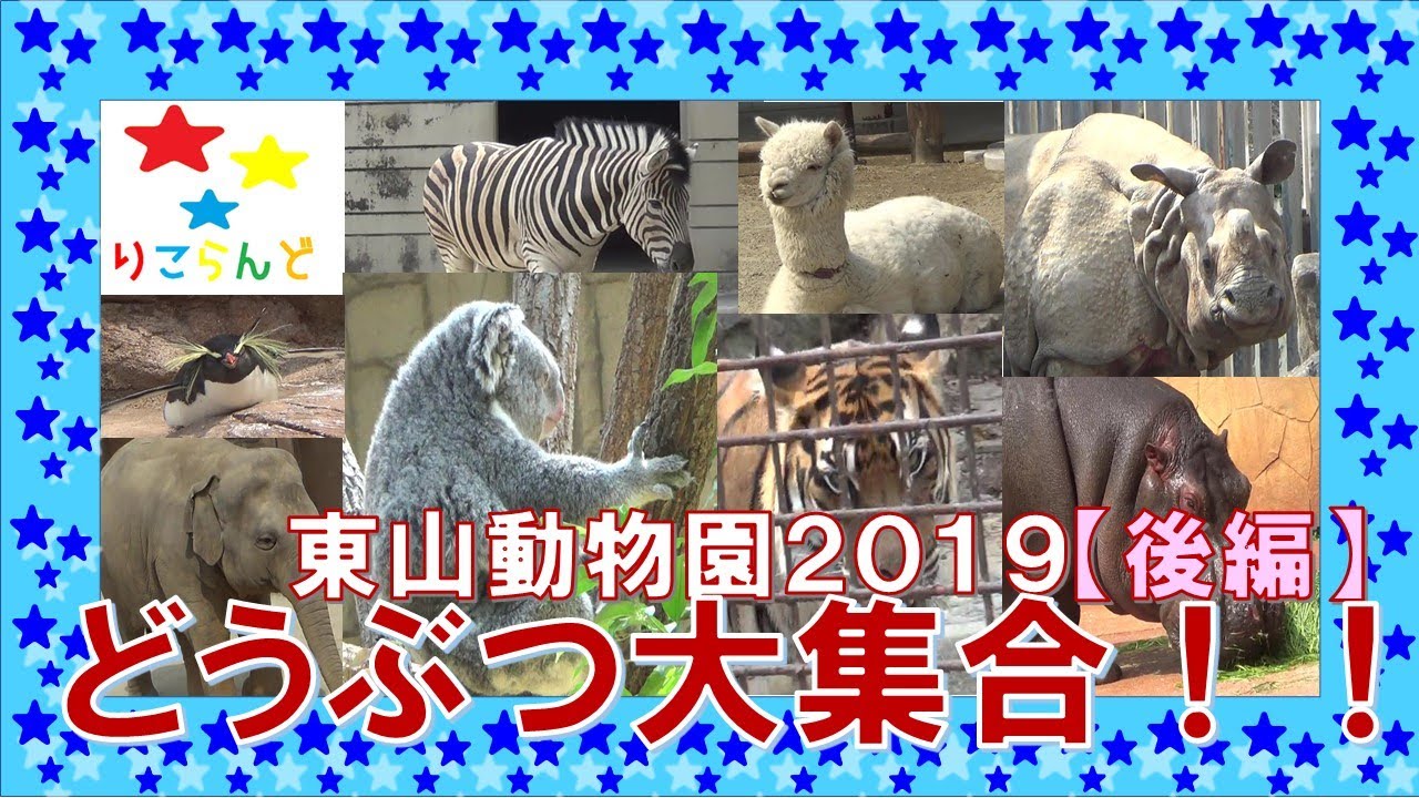 かわいい動物大集合 東山動物園 後編 Youtube