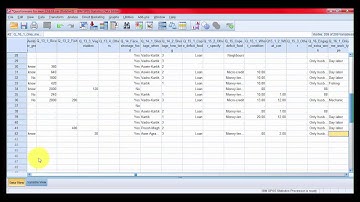 Sample data entry in spss || Sample 5 Part 2 ||