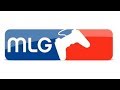 Страйкбол MLG P2