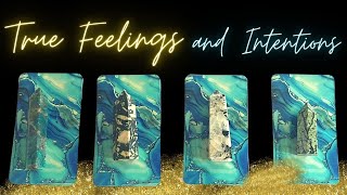 TRUE FEELINGS AND INTENTIONS!!! ✨❣️💙❣️✨ pick a card ✨❣️💙❣️✨