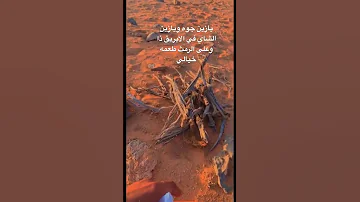 يازين جوه ويازين الشاي في ذا الابريق على الرمث 