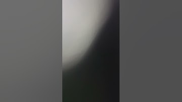ايات بينات من سورة الاحزاب