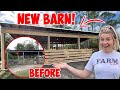 Renovating A 20+ Year Old Horse Barn! NEW PIG ENCLOSURE!